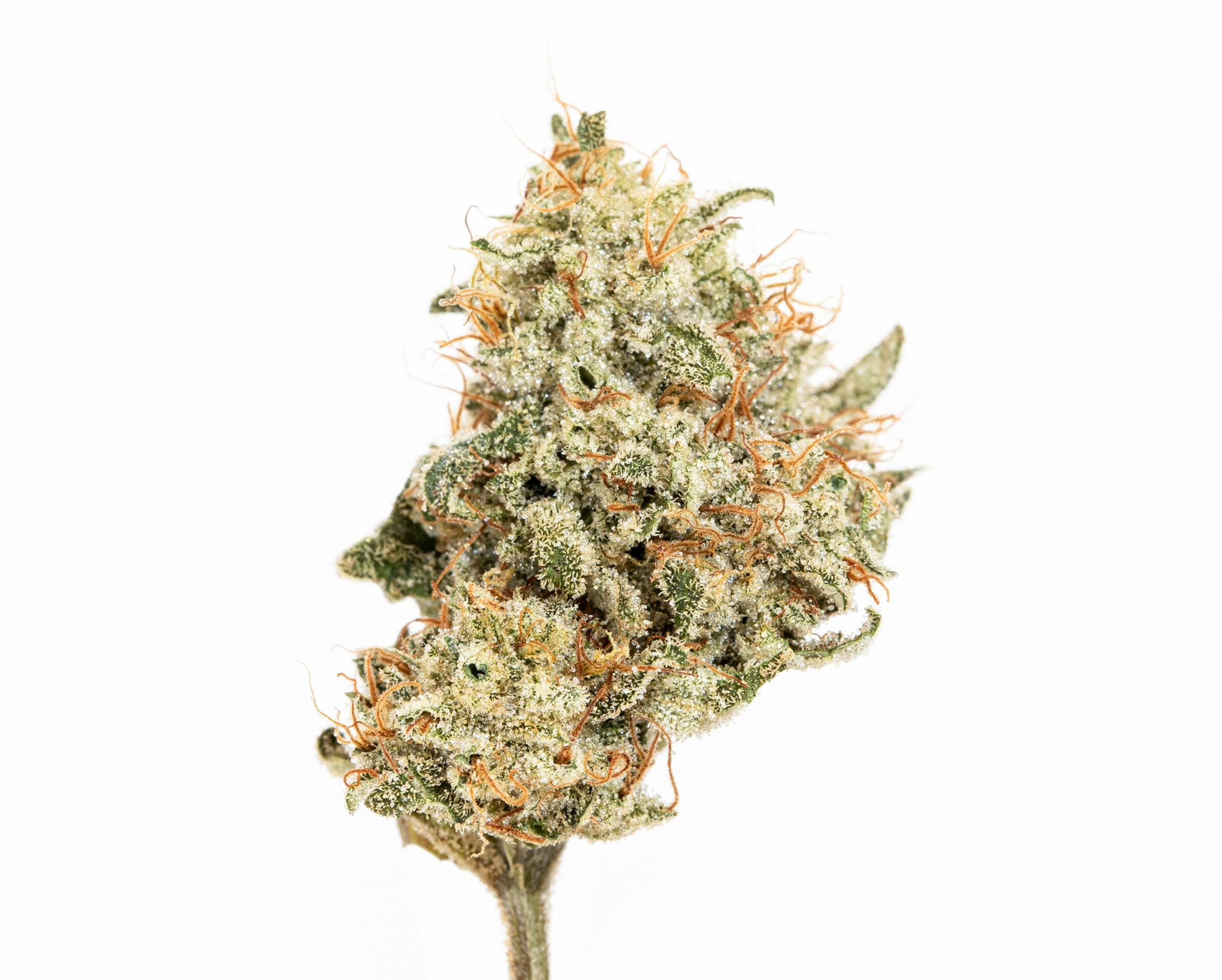 Sundae Glaze 3.5g - Culta (Pre-Pack)
