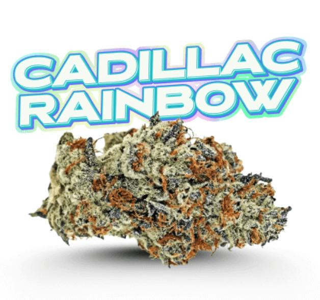 Cadillac Rainbows 3.5g - Fade Co. Holy Grail Series (Pre-Pack)