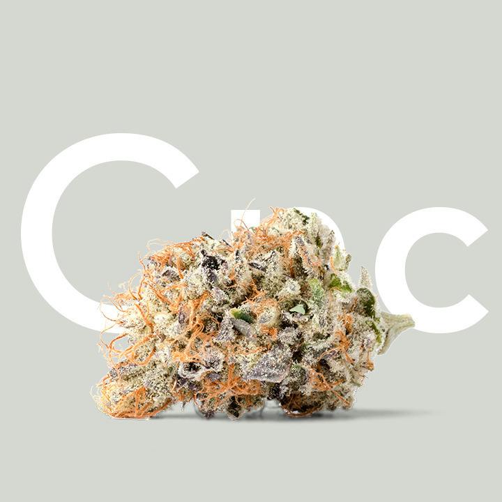Captain's Cake 3.5g - Curio (Pre-Packed)