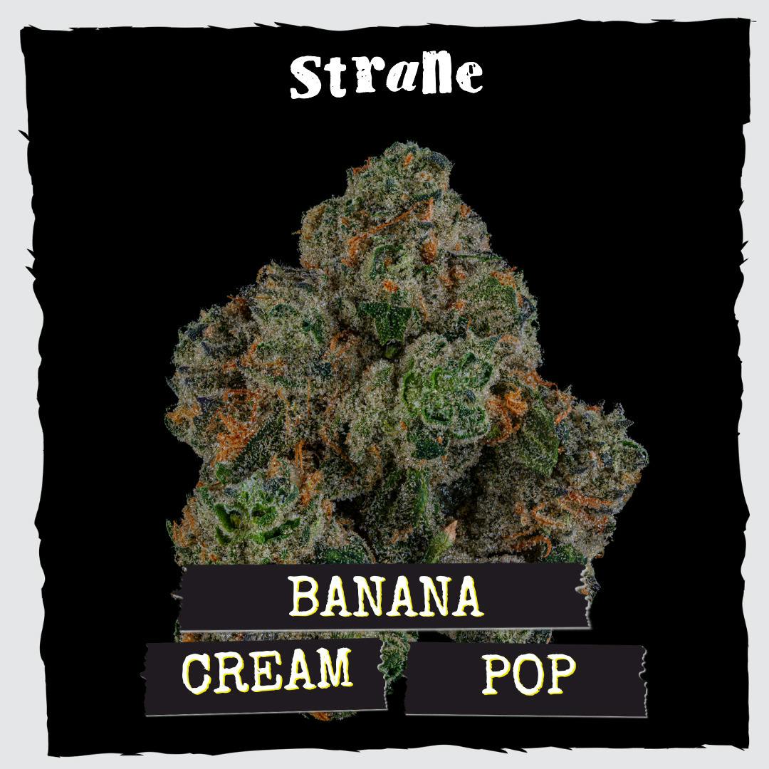 Banana Cream Pop 3.5g - Strane (Pre-Pack)