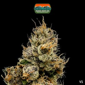 Rugged Roots | Runtz