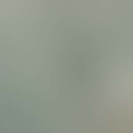 Rugged Roots+Tripp's | Blue Razzleberry Gummies