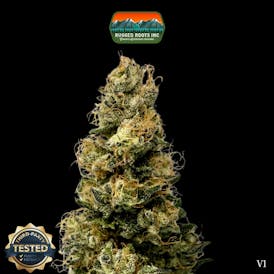 Rugged Roots | Don Mega