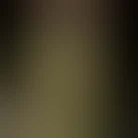 Rugged Roots | Don Mega Dime Bag