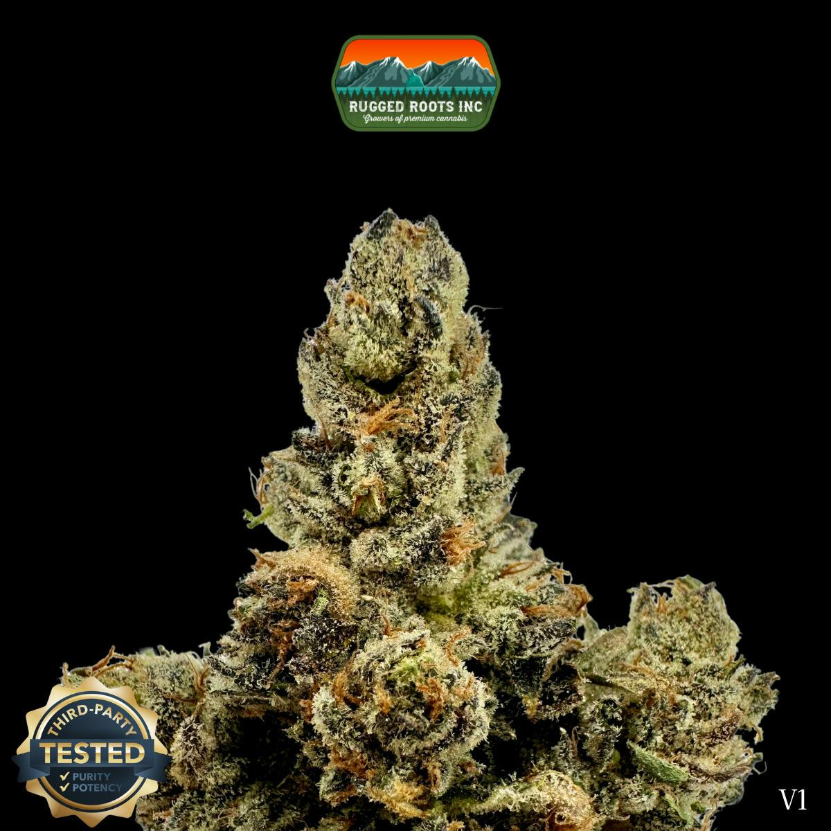 Rugged Roots | Bandz Dime Bag at Rugged Roots Trading Post- Bangor