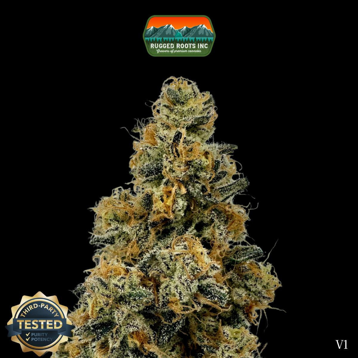 Rugged Roots | Flava Flav