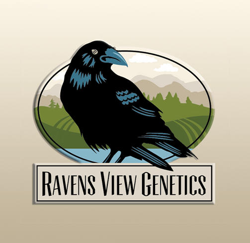 Ravens View Genetics Double OG Chem Pre-packaged Flower 3.5g