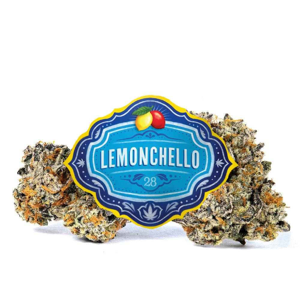 Lemonchello #28