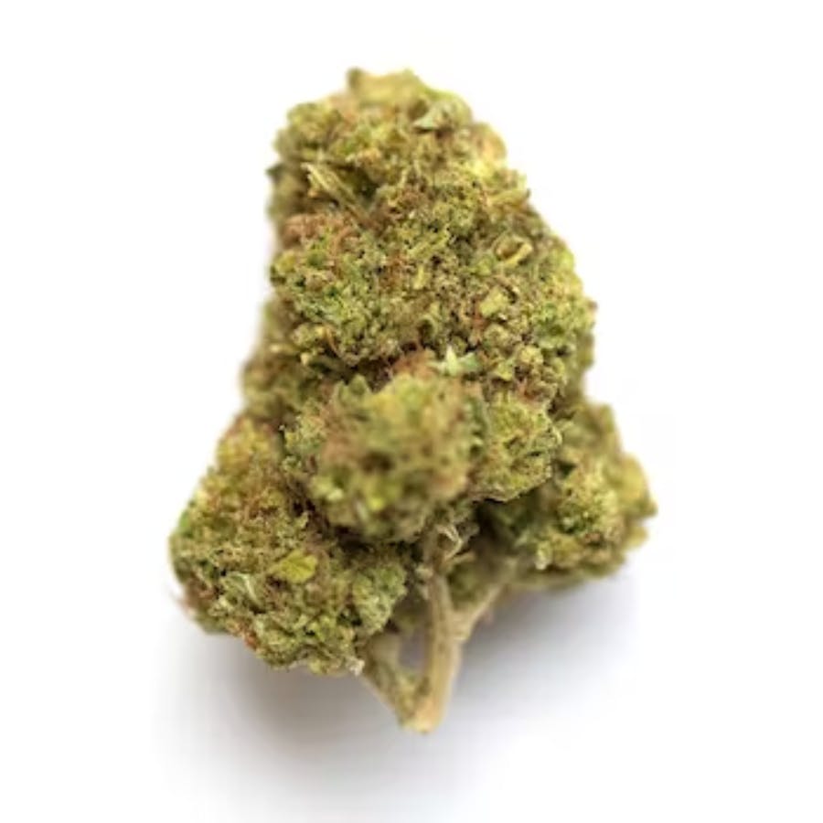 Critical Sensi Star | Prepacked at Pipe & Leaf