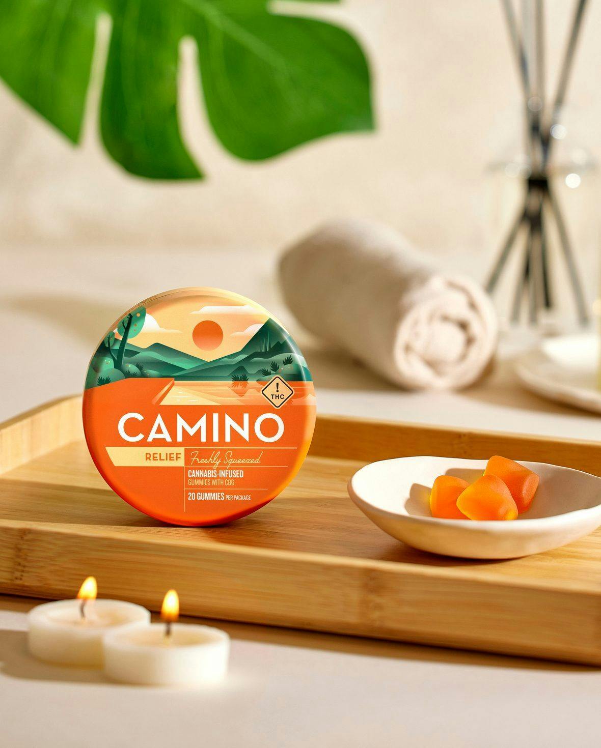 FRESHLY SQUEEZED 1:2 — / Camino