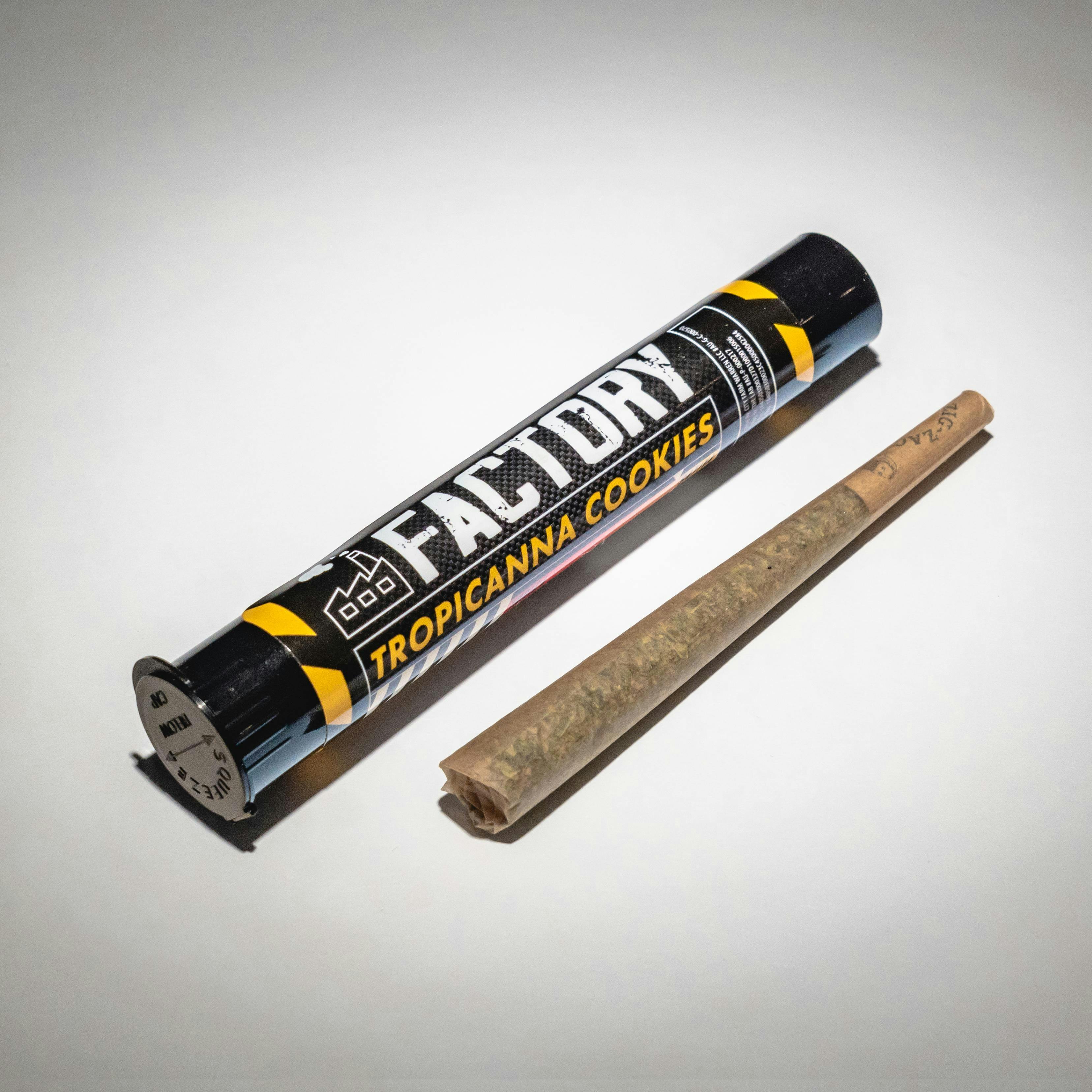 The Factory | Tropicana Cookies | 1G Preroll