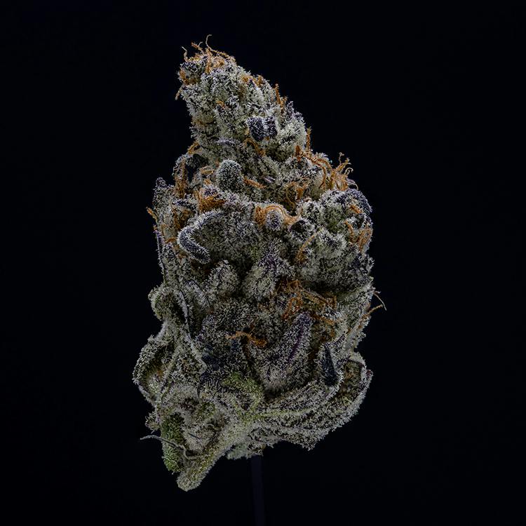 Devil Driver cannabis product