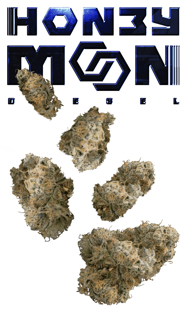 Honeymoon Diesel 7g Juniors