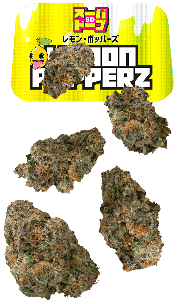 Sd Lemon Popperz Juniors