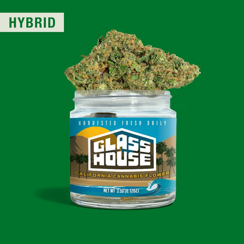 Glass House: Farm- Trop Queen