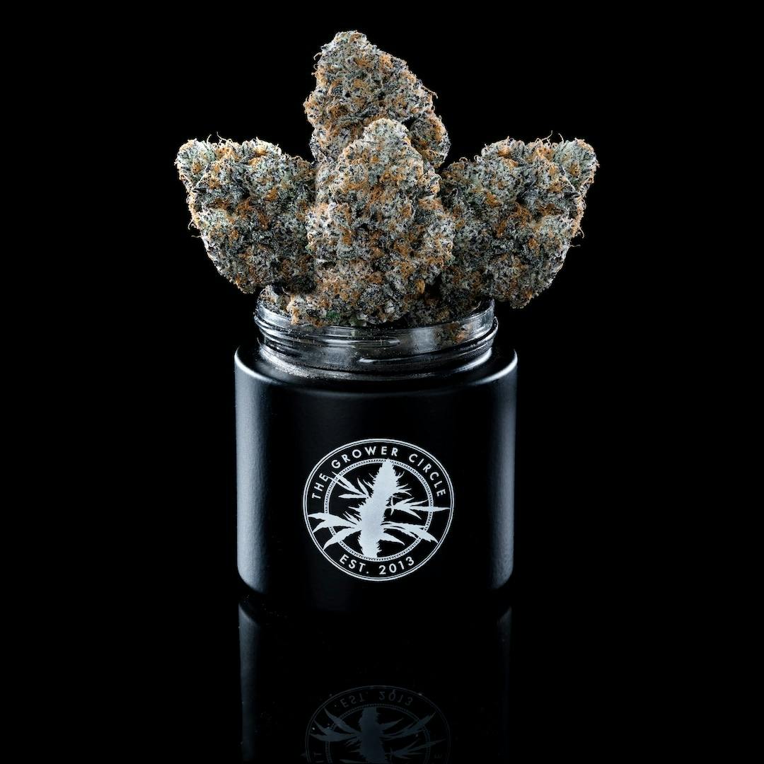 The Grower Circle Rotten Lemons