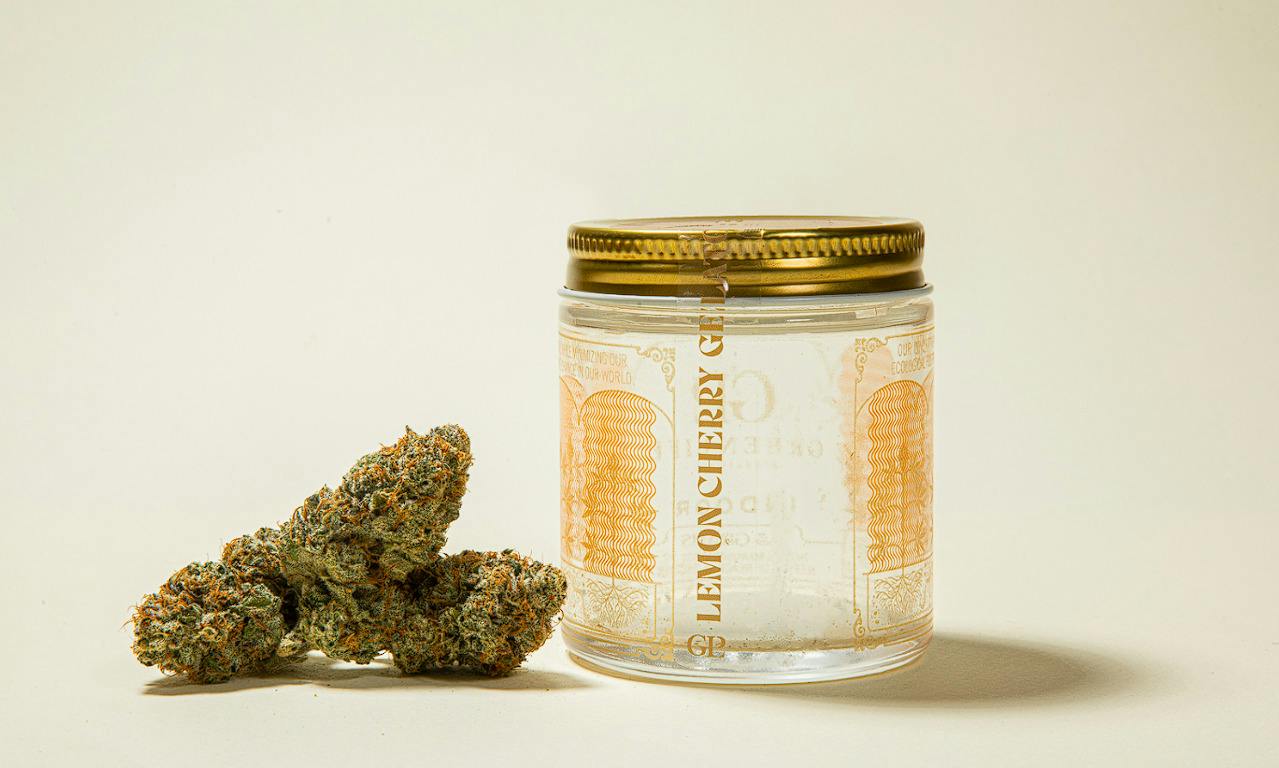 GLP Lemon Cherry Gelato (H) Flower