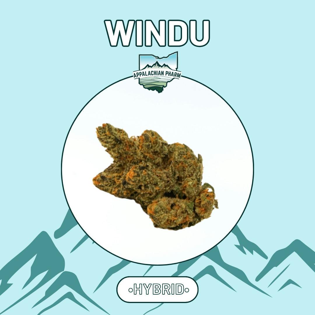Windu | Hybrid | [2.83g]