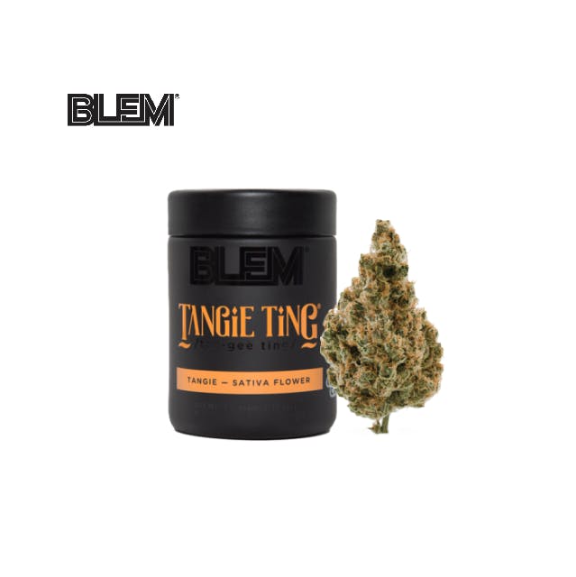 TANGIE TING: TANGIE TING 3.5G