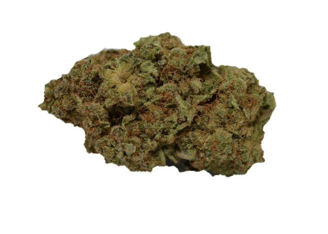 Ripped Hybrid Dried Flower