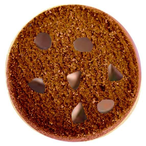 THC Kiss Double Chocolate Chip Biscuit - 10mgTHC