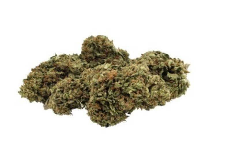 Day Dreamin' Infused CBD Flower (Umpqua)