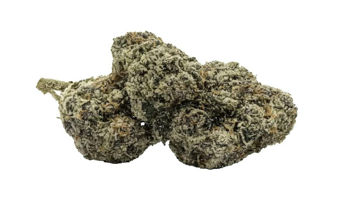 Biscotti - 28g