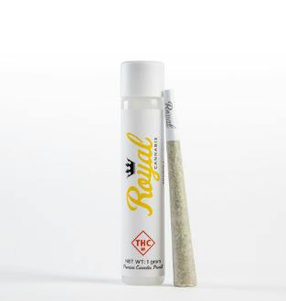Pre-Roll 1g | Royal Motor Head