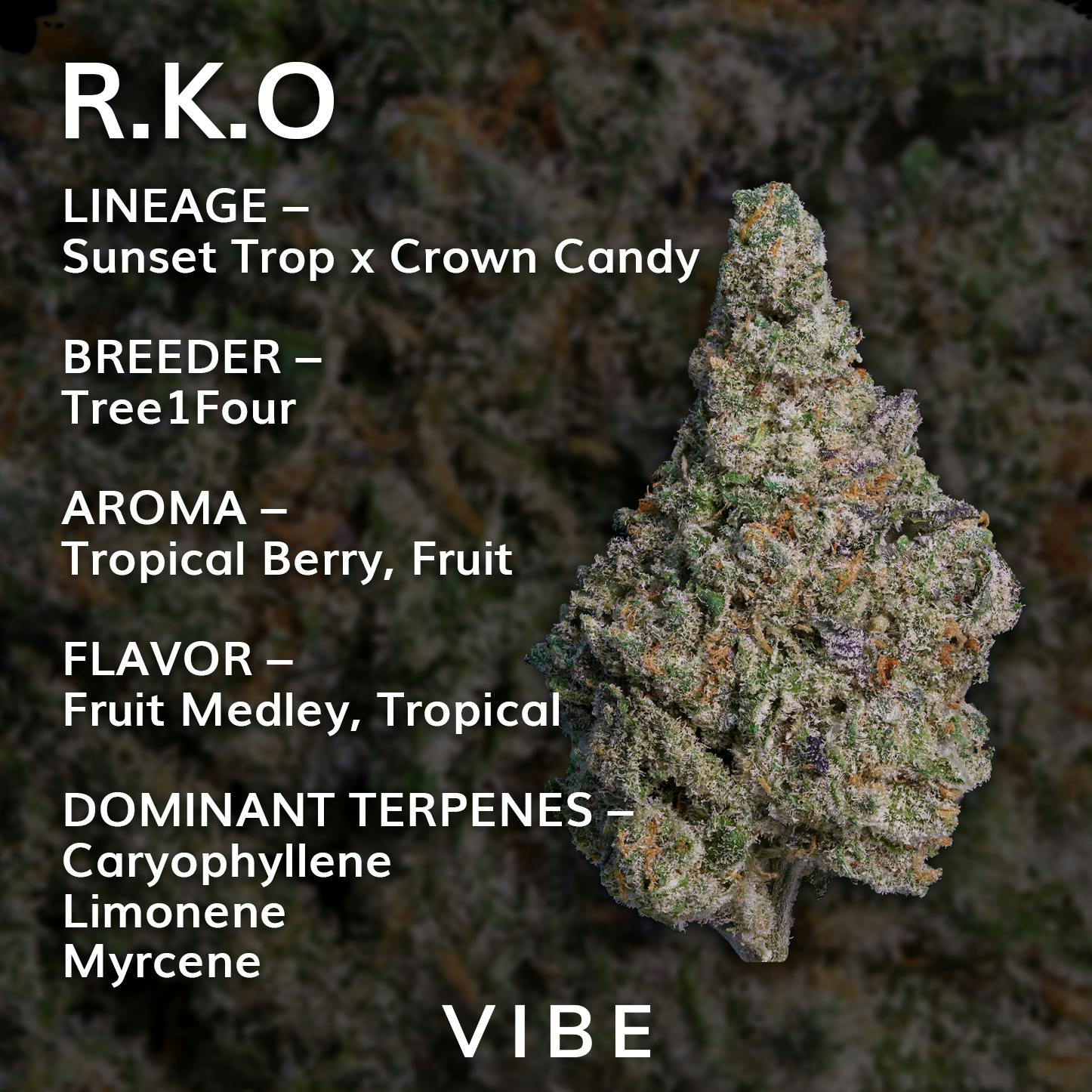 Popcorn 7g | Vibe RKO