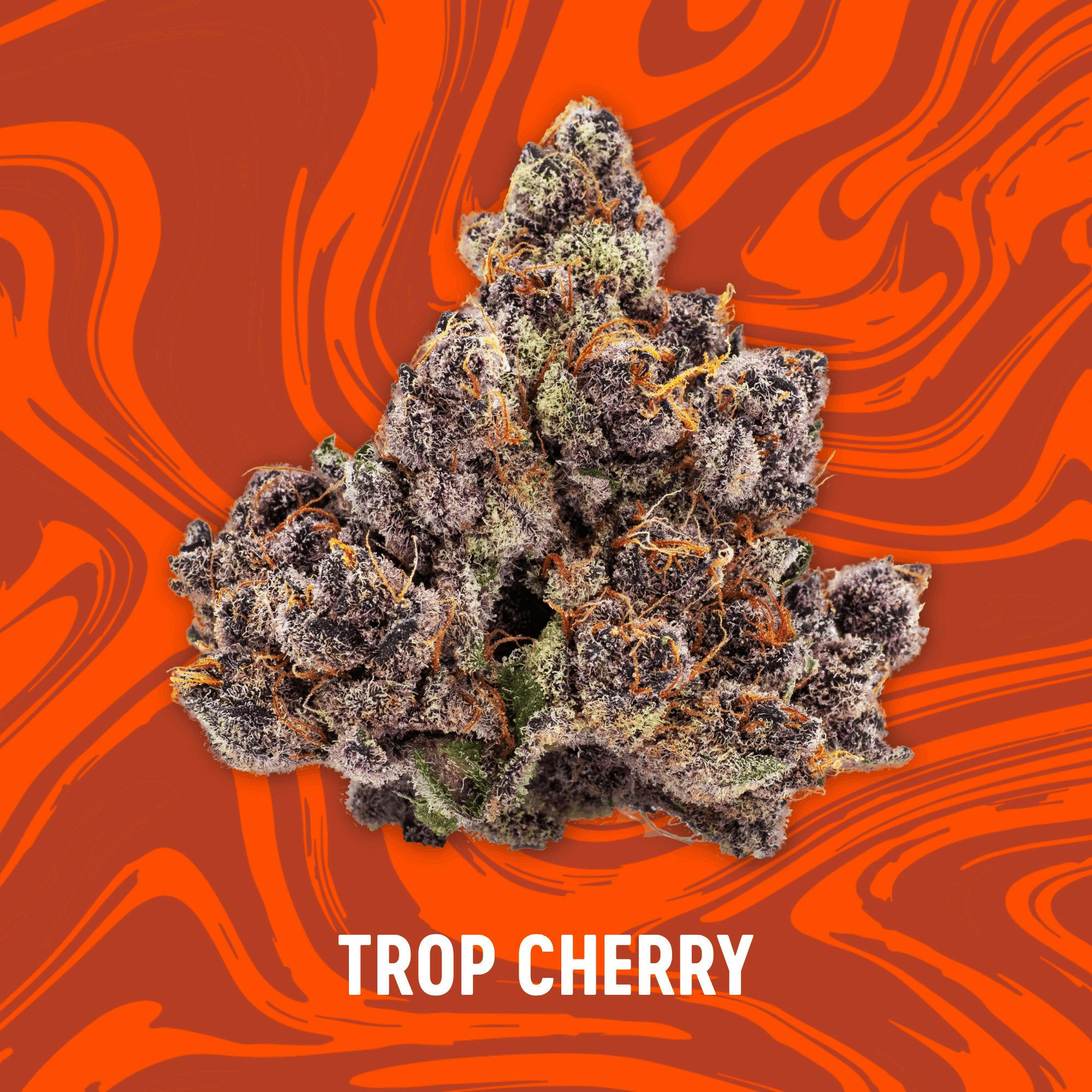 A Buds 28g | Vivid Trop Cherry