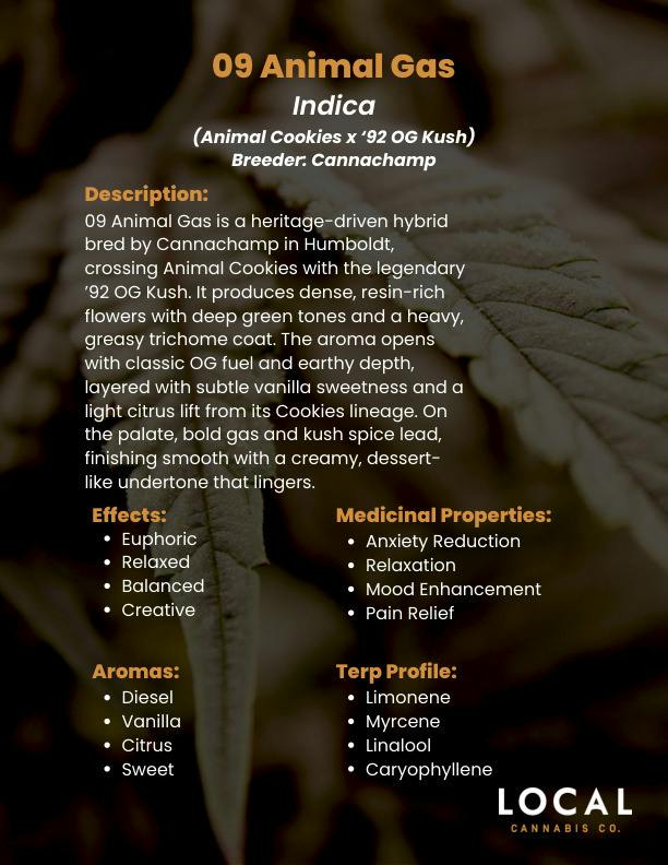 Live Resin 1g | Local Cannabis Co. 09 Animal Gas