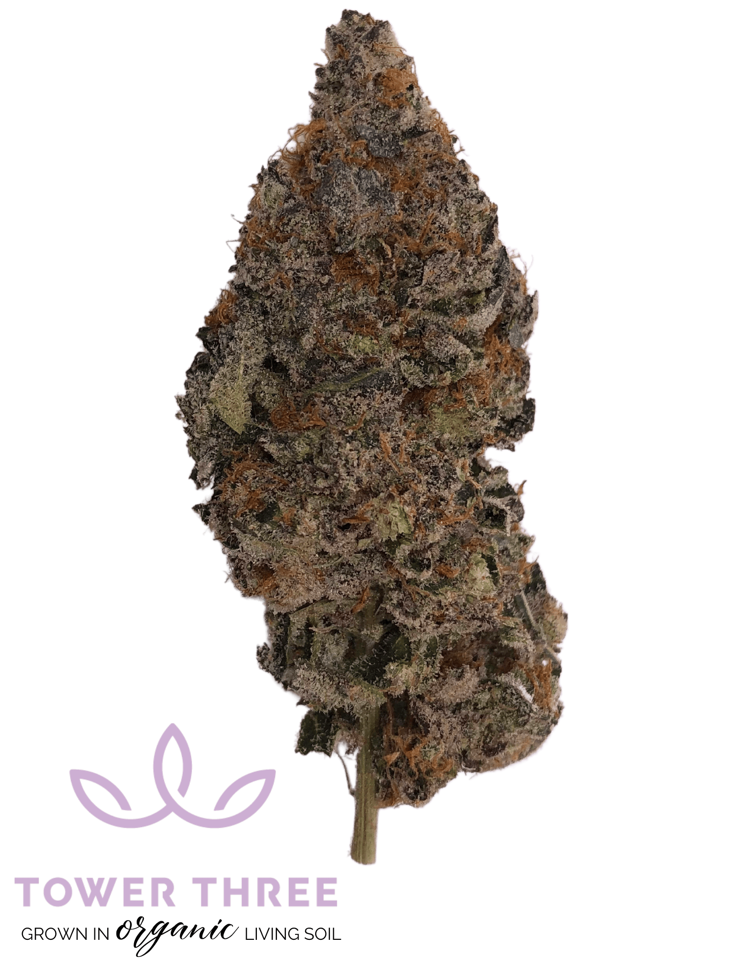 Dosido | 3.5g
