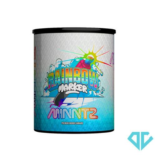 DELI - MINNTZ Rainbow Marker