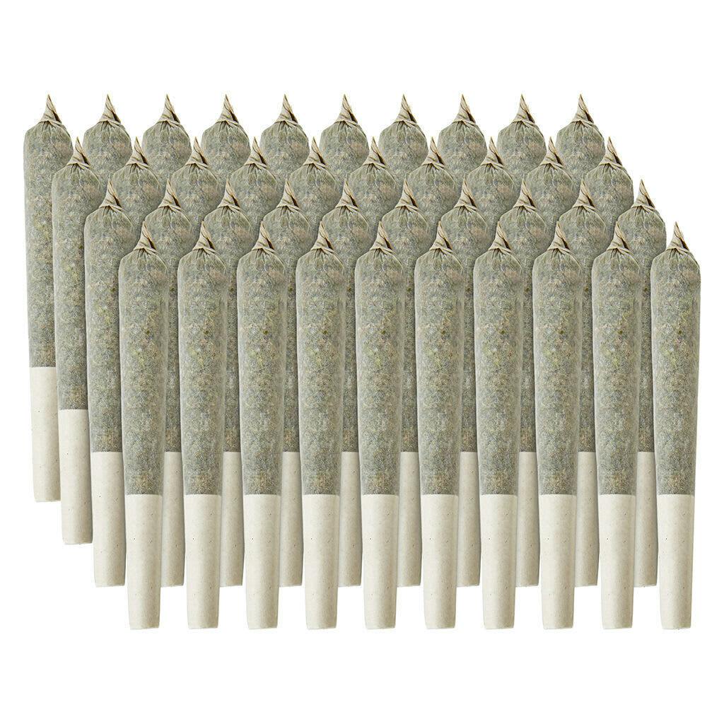 Double J's - Kush Pie - Sativa - Pre-Roll 40x0.5g