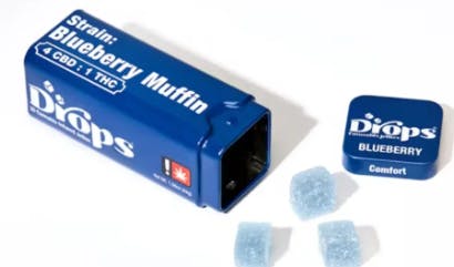 BLUEBERRY 20 PIECE 100MG GUMMIES 100 mg