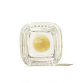 Papa's Select: Whitethorn Rose