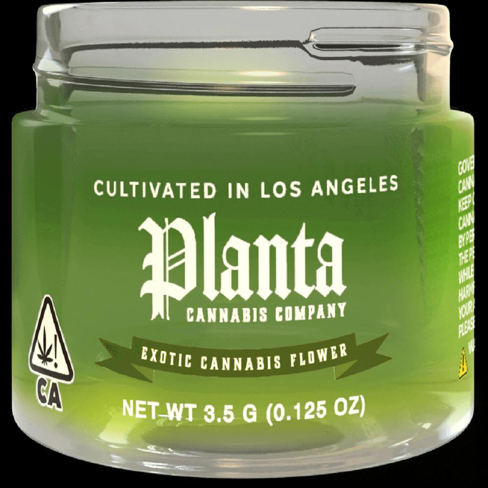 Lu Lu's Lemons 3.5g Planta