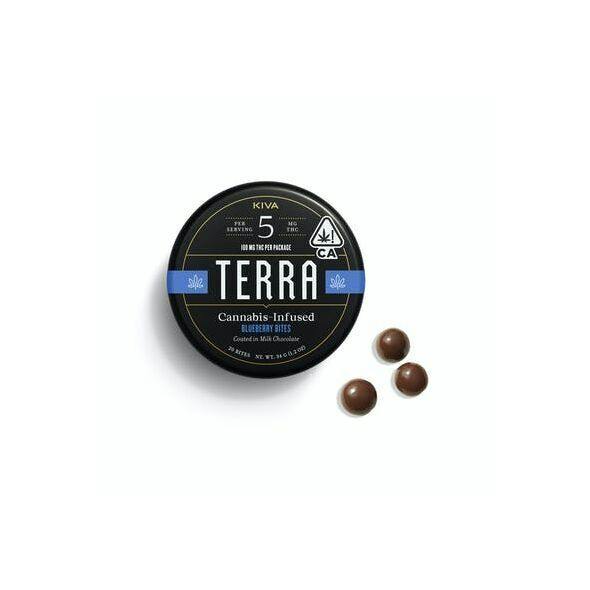 Milk Chocolate Covered Blueberry Bites