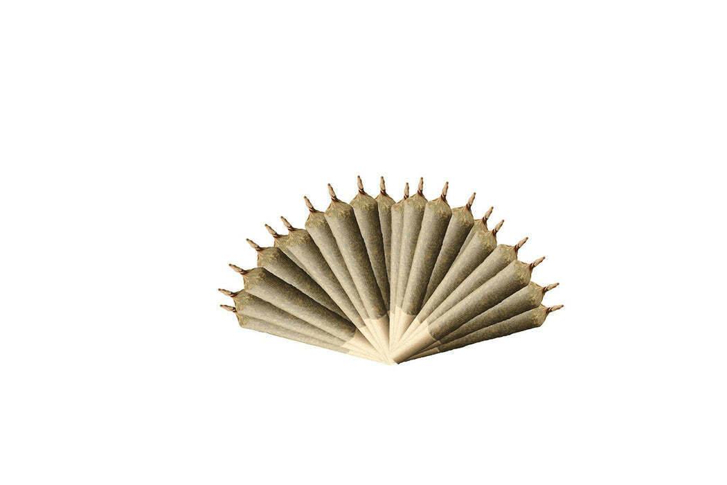 Sativa 420