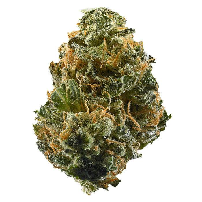 Ripped Sativa Dried Flower