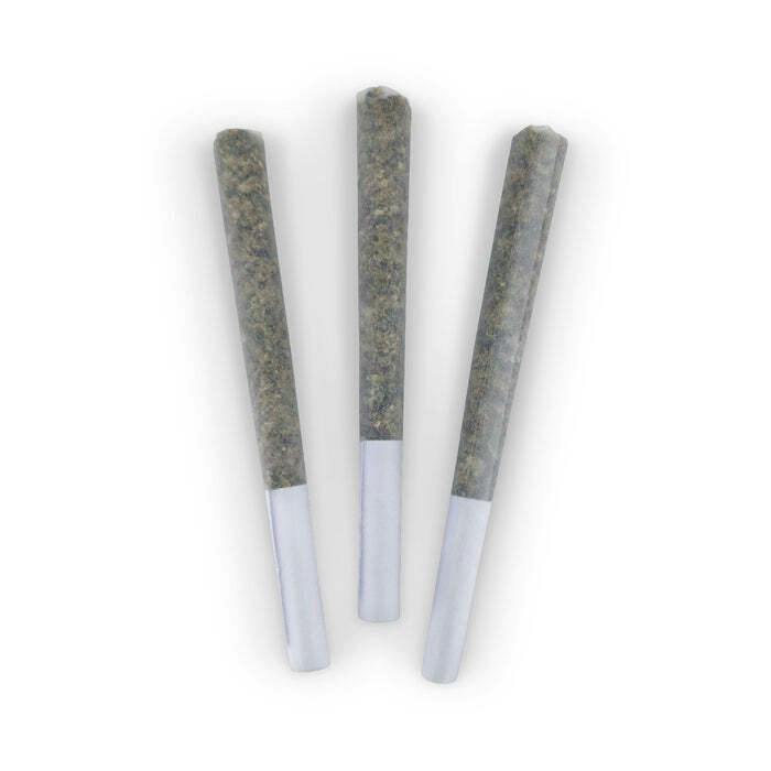 Chocolope Pre-rolls