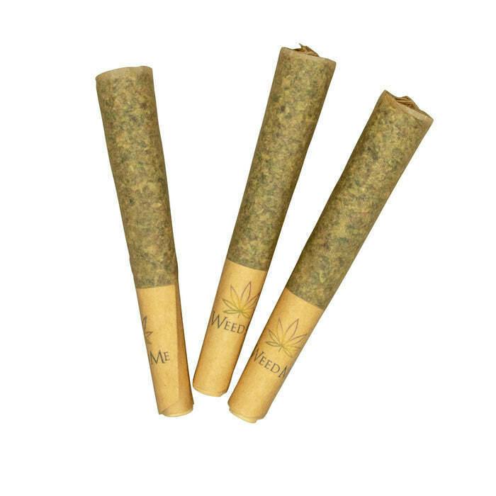 Cindy Jack Pre-Rolls