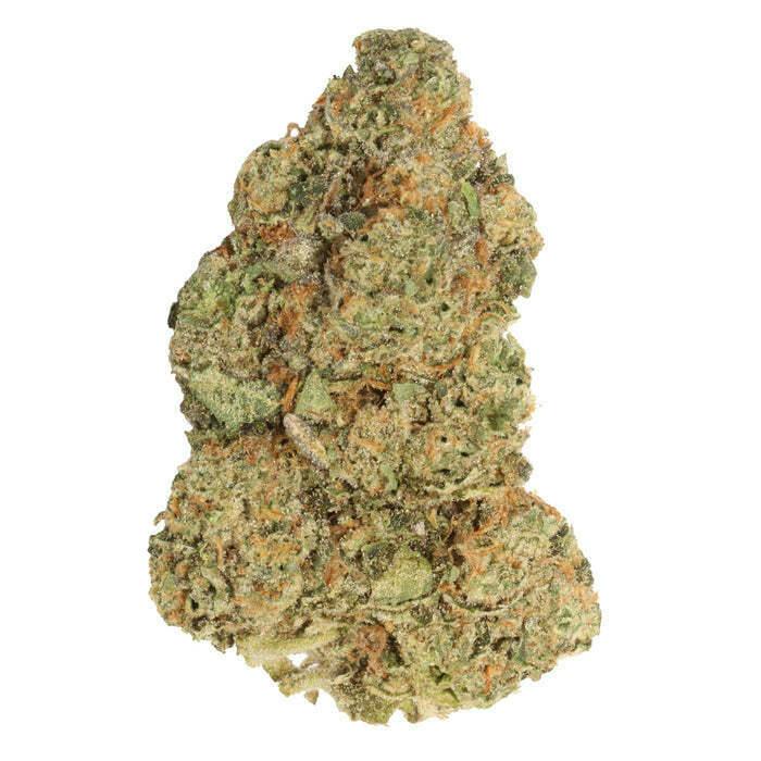 M.Tai X Jungle Cake