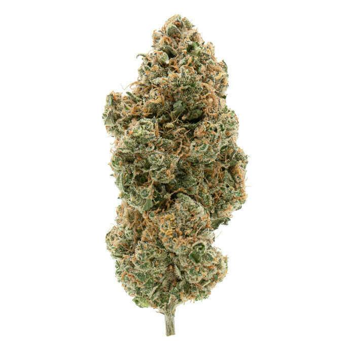 BC Organic Tangerine Sunrise