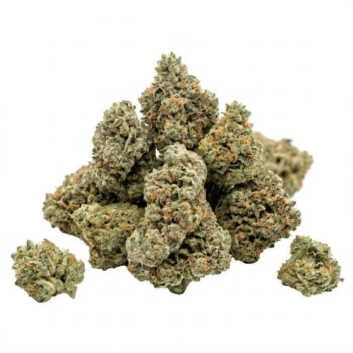 Nightmare Kush Mints
