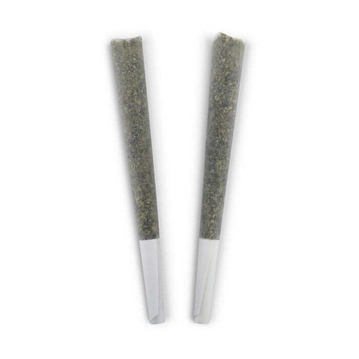 Honey Bear Pre-rolls