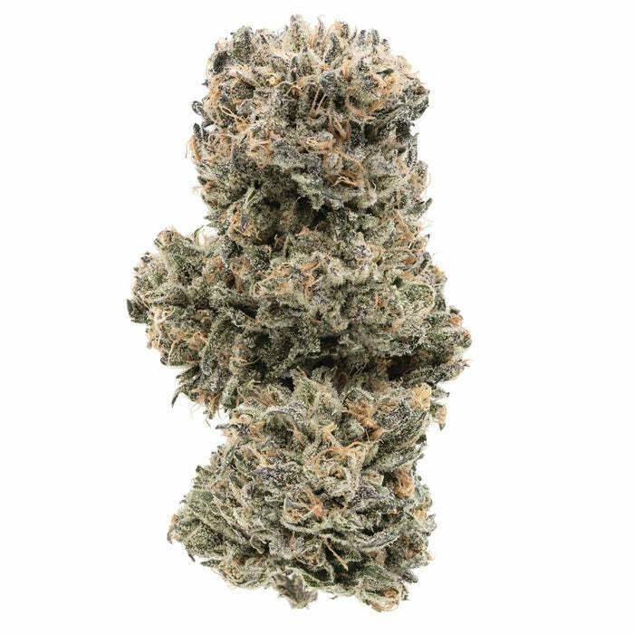 Tropicana