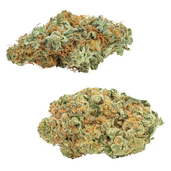 Amnesia OG & Tropicanna Tangie