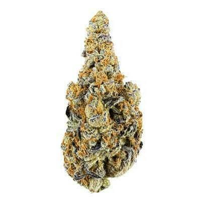 Zombie Breath