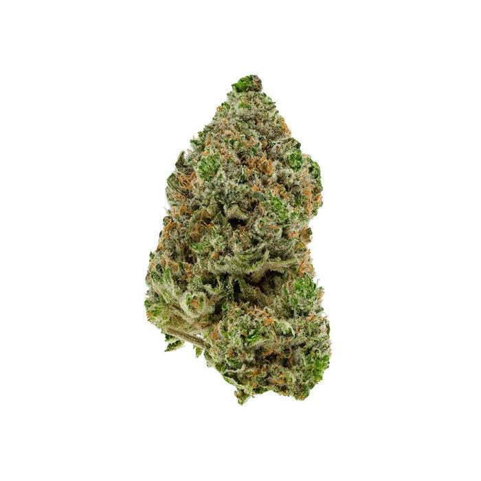 BC Organic Hibachi Blue